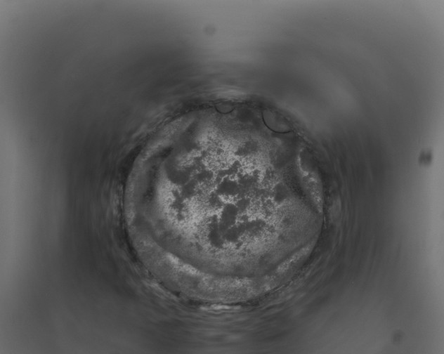 X0000094341397200711241841