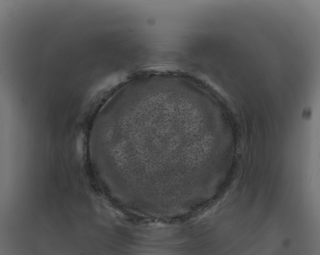 X0000094341398200711241841