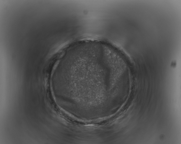 X0000094341399200711241841