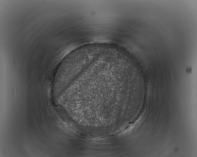 X0000094341401200711241841