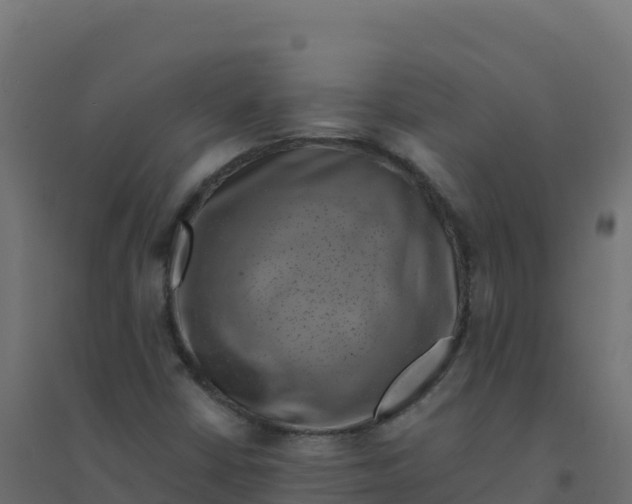 X0000094341402200711241841