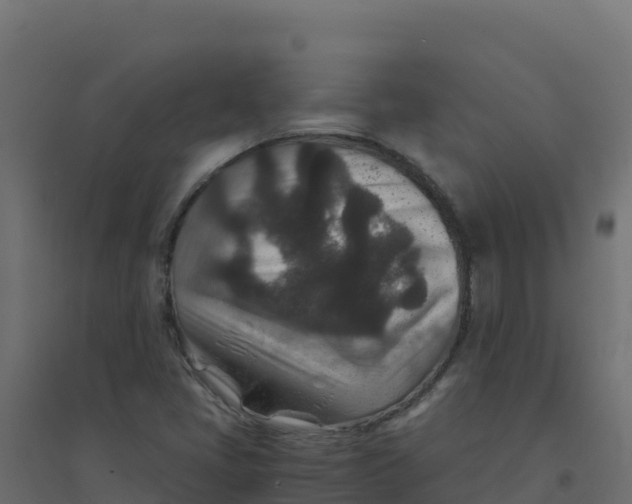 X0000094341405200711241841