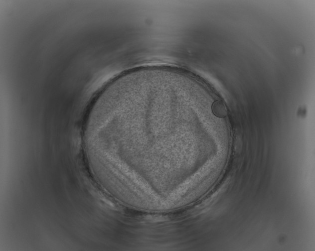 X0000094341407200711241841