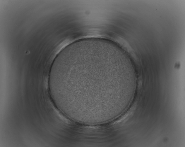 X0000094341409200711241841