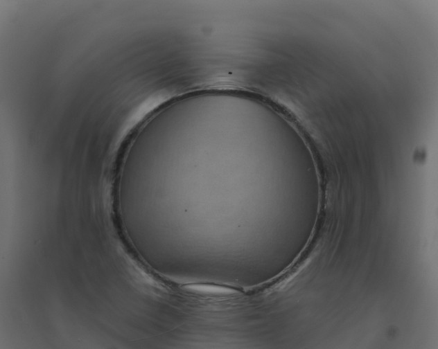 X0000094341410200711241841