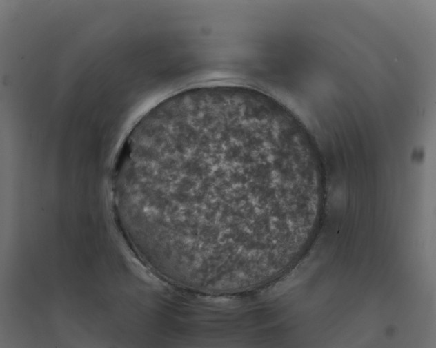 X0000094341413200711241841