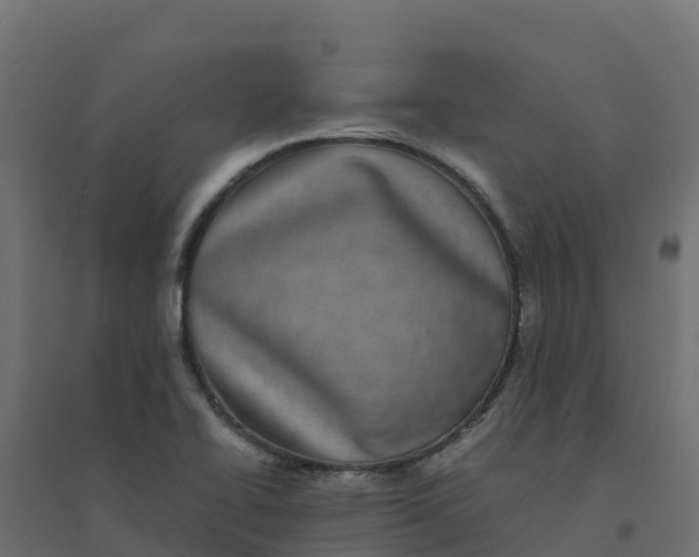 X0000094341414200711241841