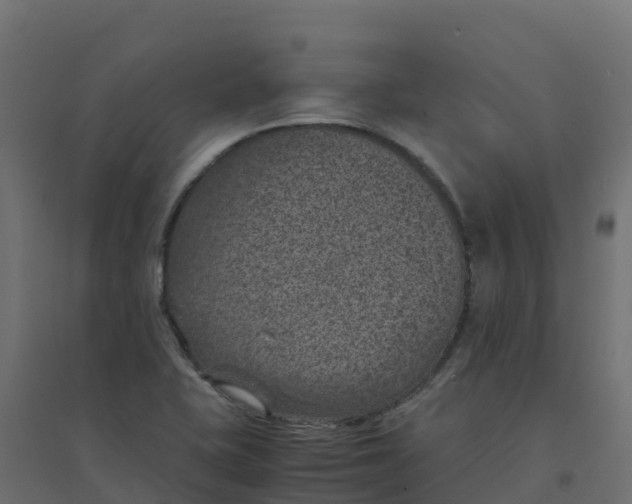 X0000094341415200711241841