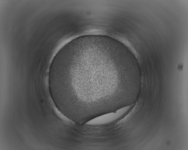 X0000094341421200711241842