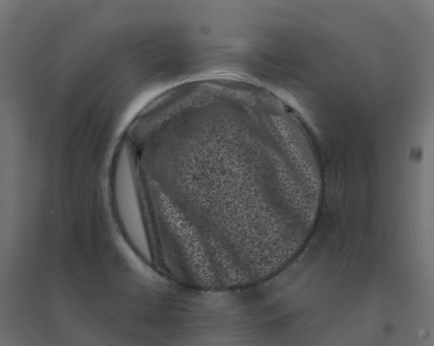 X0000094341422200711241842