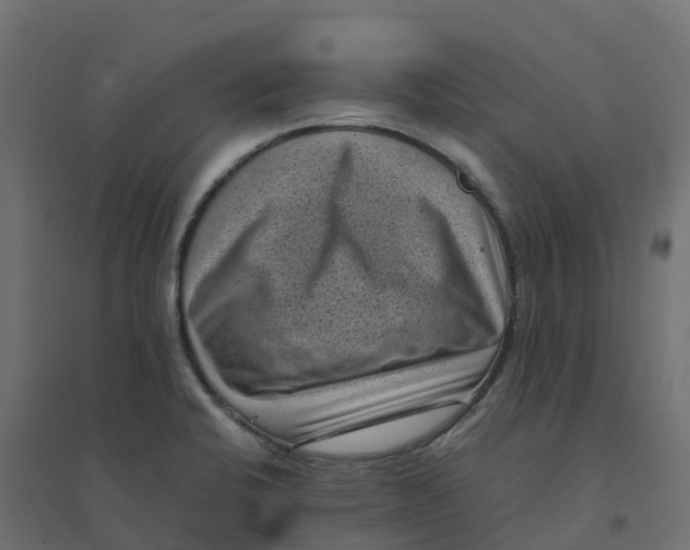 X0000094341424200711241842