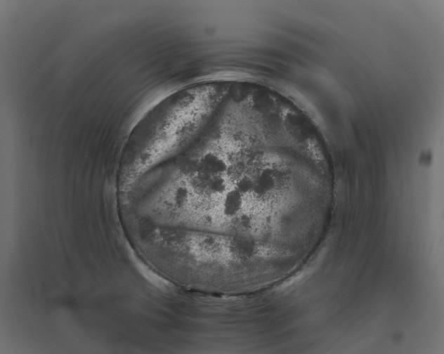 X0000094341425200711241842