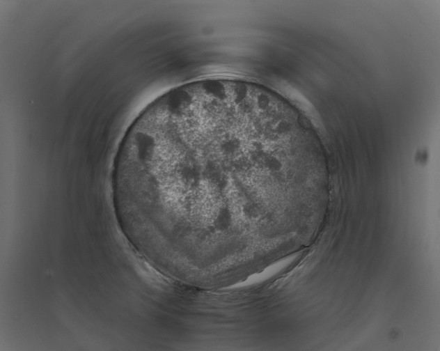 X0000094341427200711241842