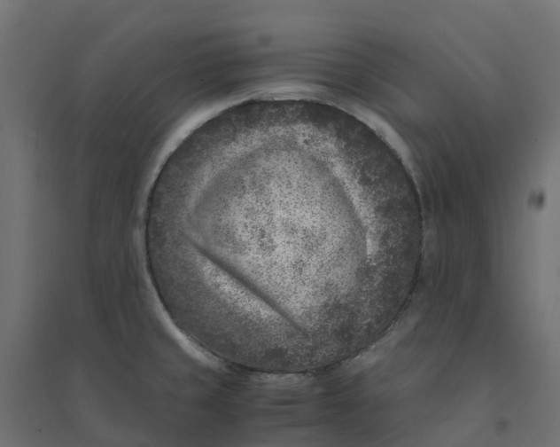 X0000094341429200711241842