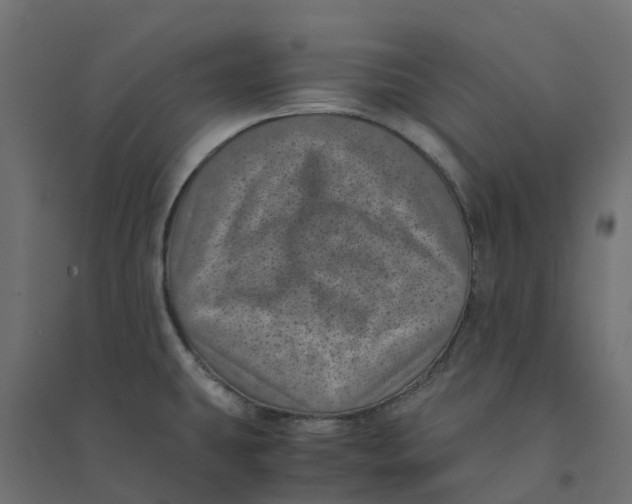 X0000094341431200711241842