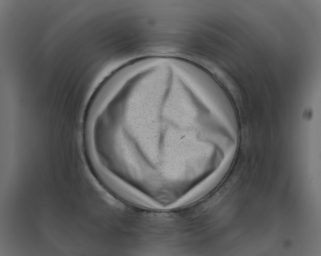 X0000094341432200711241842