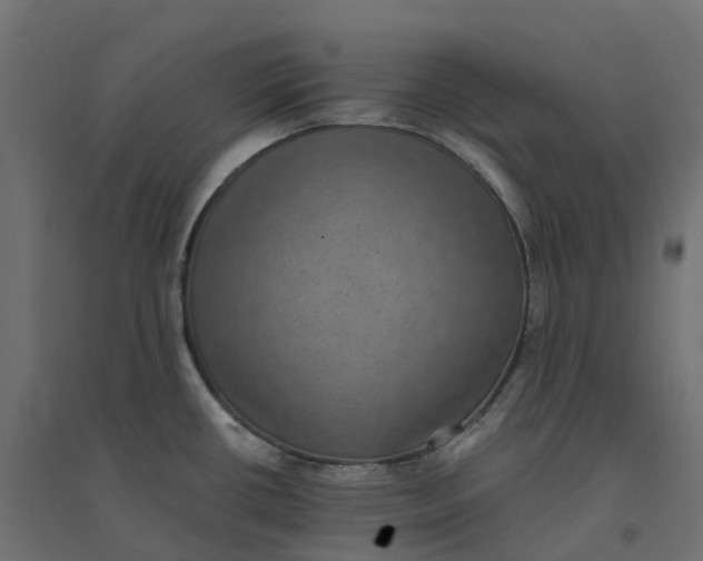 X0000094341434200711241842