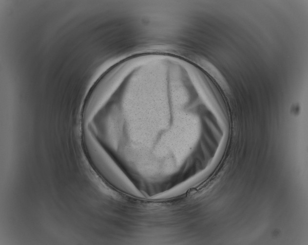 X0000094341436200711241842