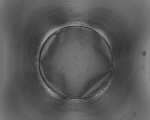 X0000094341438200711241842