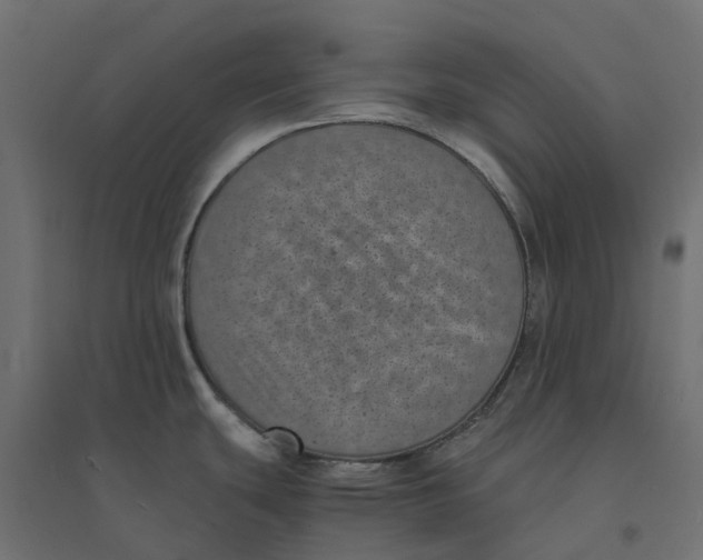 X0000094341439200711241842