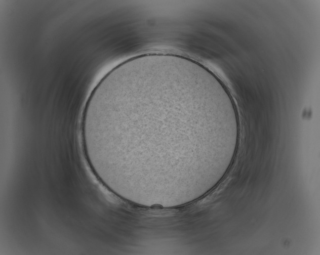 X0000094341440200711241842