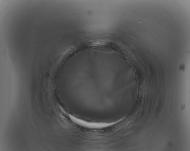 X0000094341441200711241841