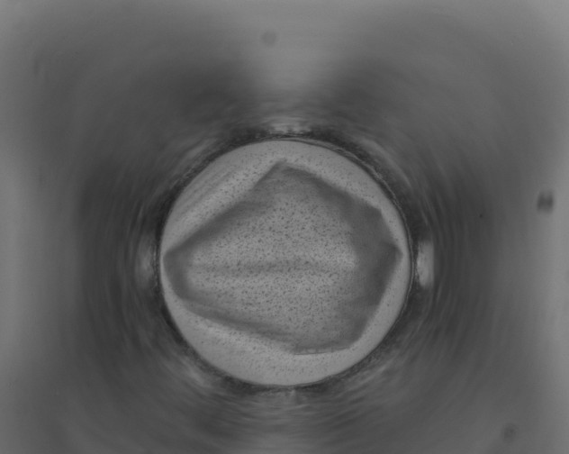 X0000094341444200711241841