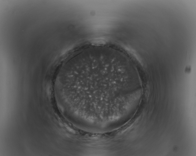 X0000094341445200711241841