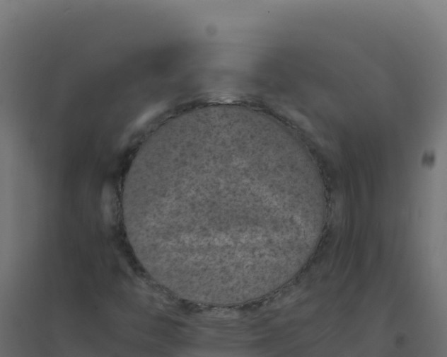 X0000094341446200711241841