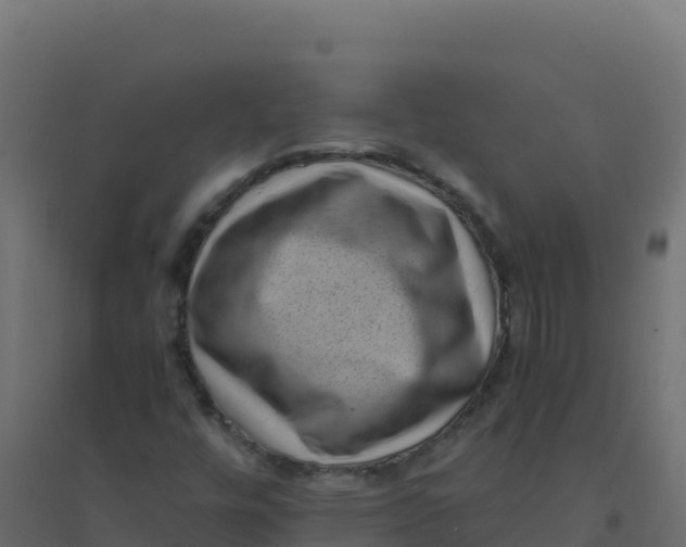 X0000094341448200711241841