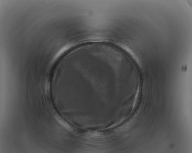 X0000094341450200711241841