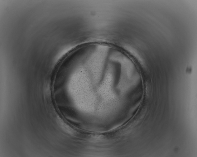 X0000094341452200711241841