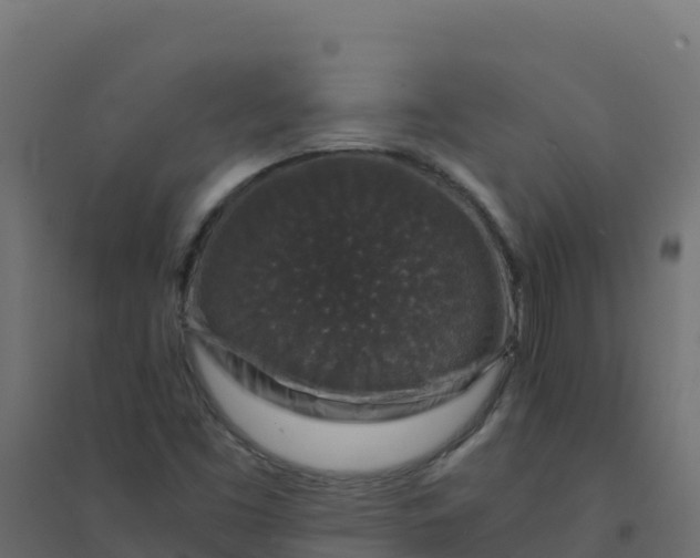 X0000094341453200711241841