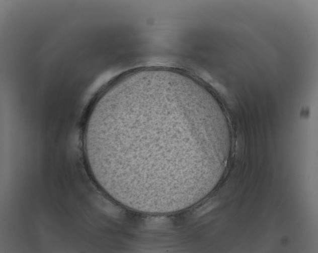 X0000094341454200711241841