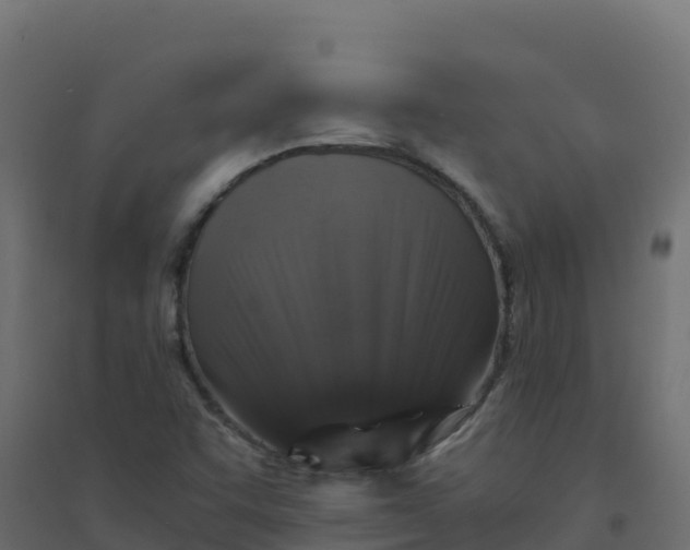 X0000094341455200711241841