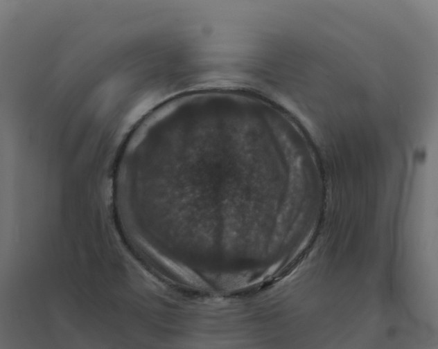 X0000094341459200711241841