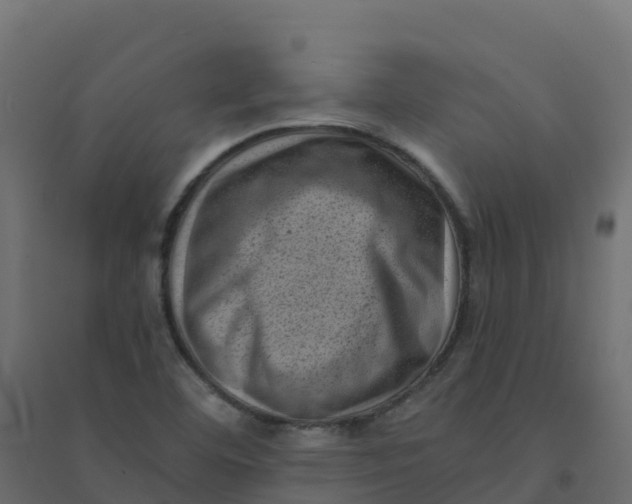 X0000094341460200711241841