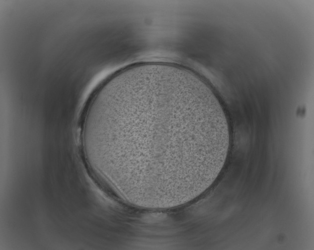 X0000094341462200711241841