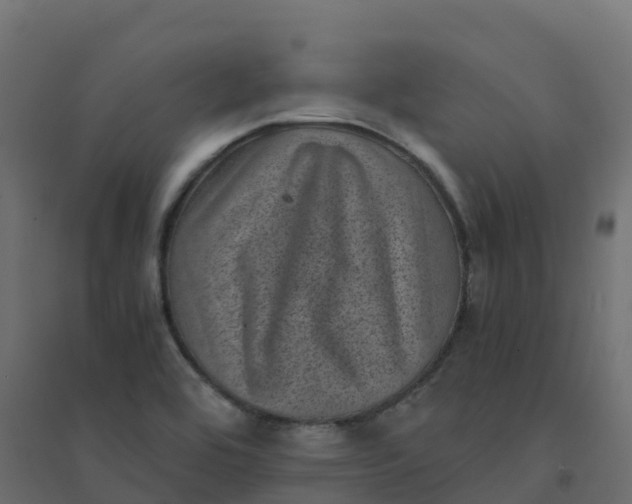 X0000094341464200711241841