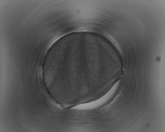 X0000094341465200711241841