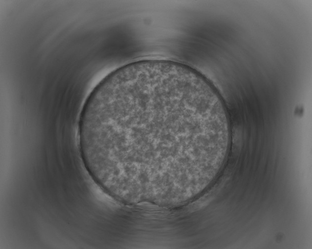 X0000094341466200711241841