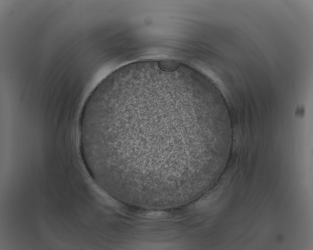 X0000094341467200711241841