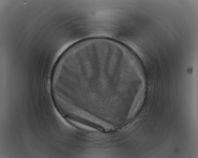 X0000094341468200711241841