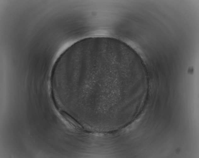 X0000094341469200711241841