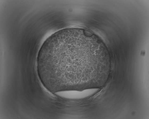 X0000094341471200711241841