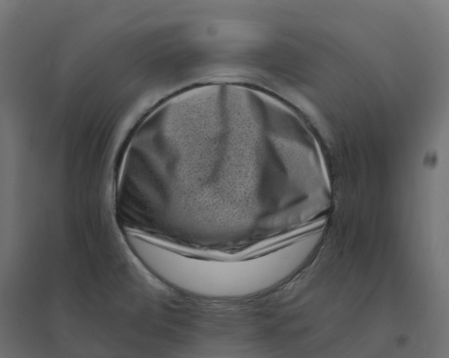 X0000094341472200711241841