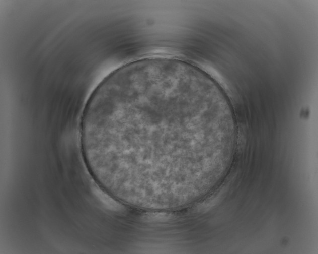 X0000094341474200711241840