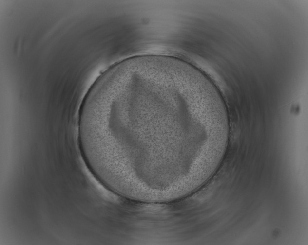 X0000094341479200711241840