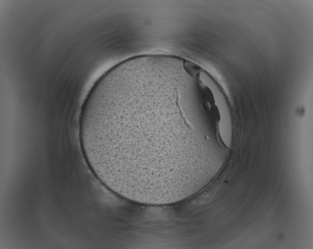 X0000094341480200711241840