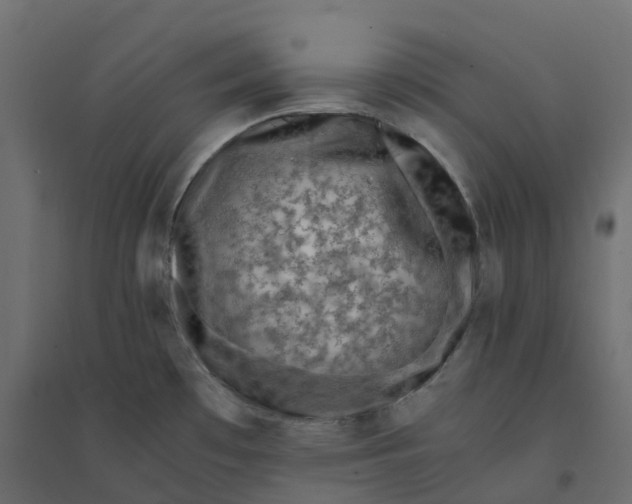 X0000094341481200711241840